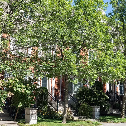 Se loger à Montréal, acheter ou louer ?